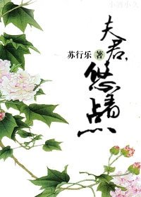 夫君,悠着点