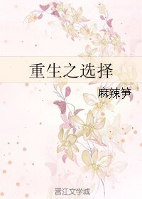 重生之选择